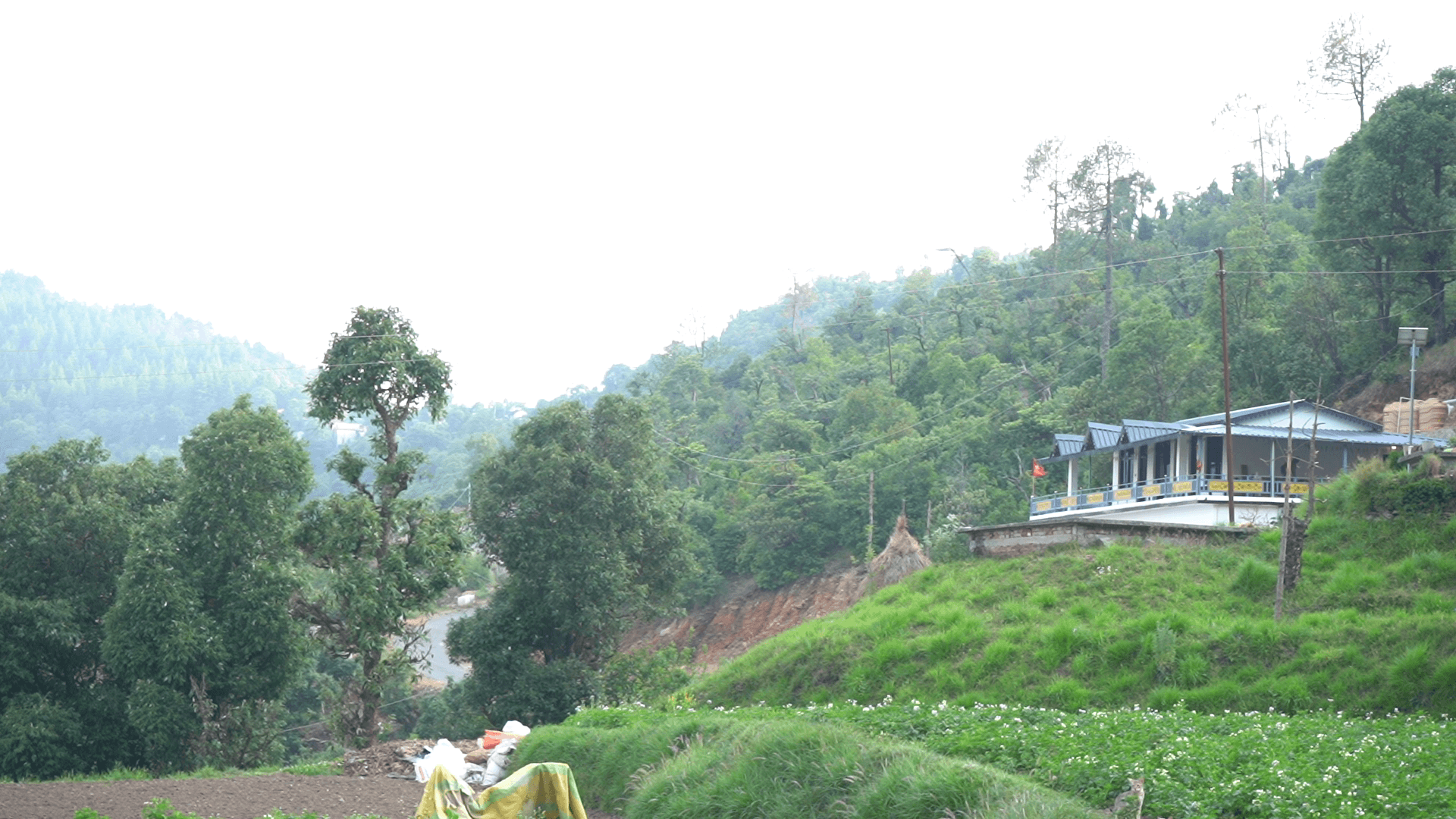 Himgiri Home Stay surrounded by green hills